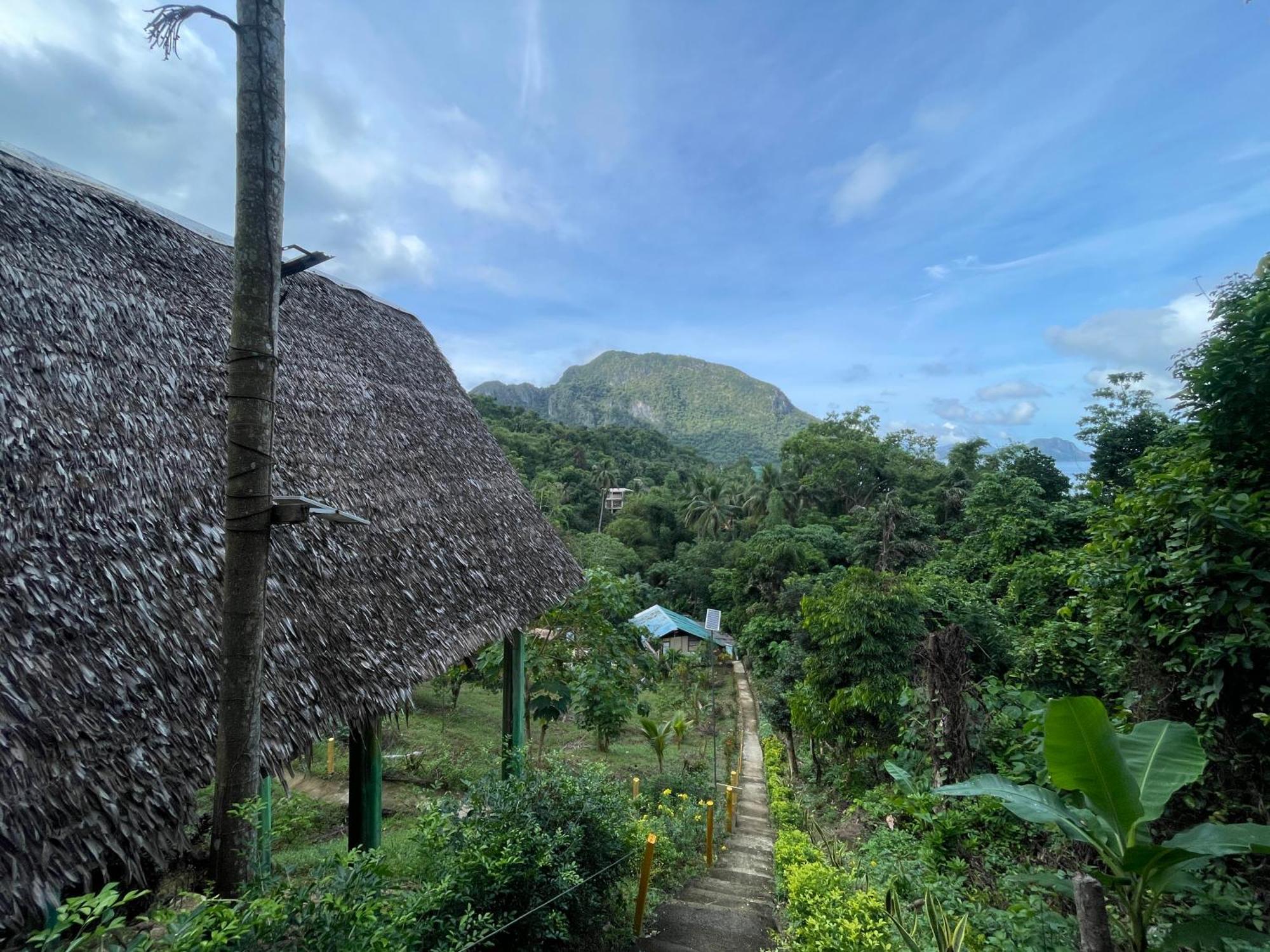 Campsite Forest Camp El Nido