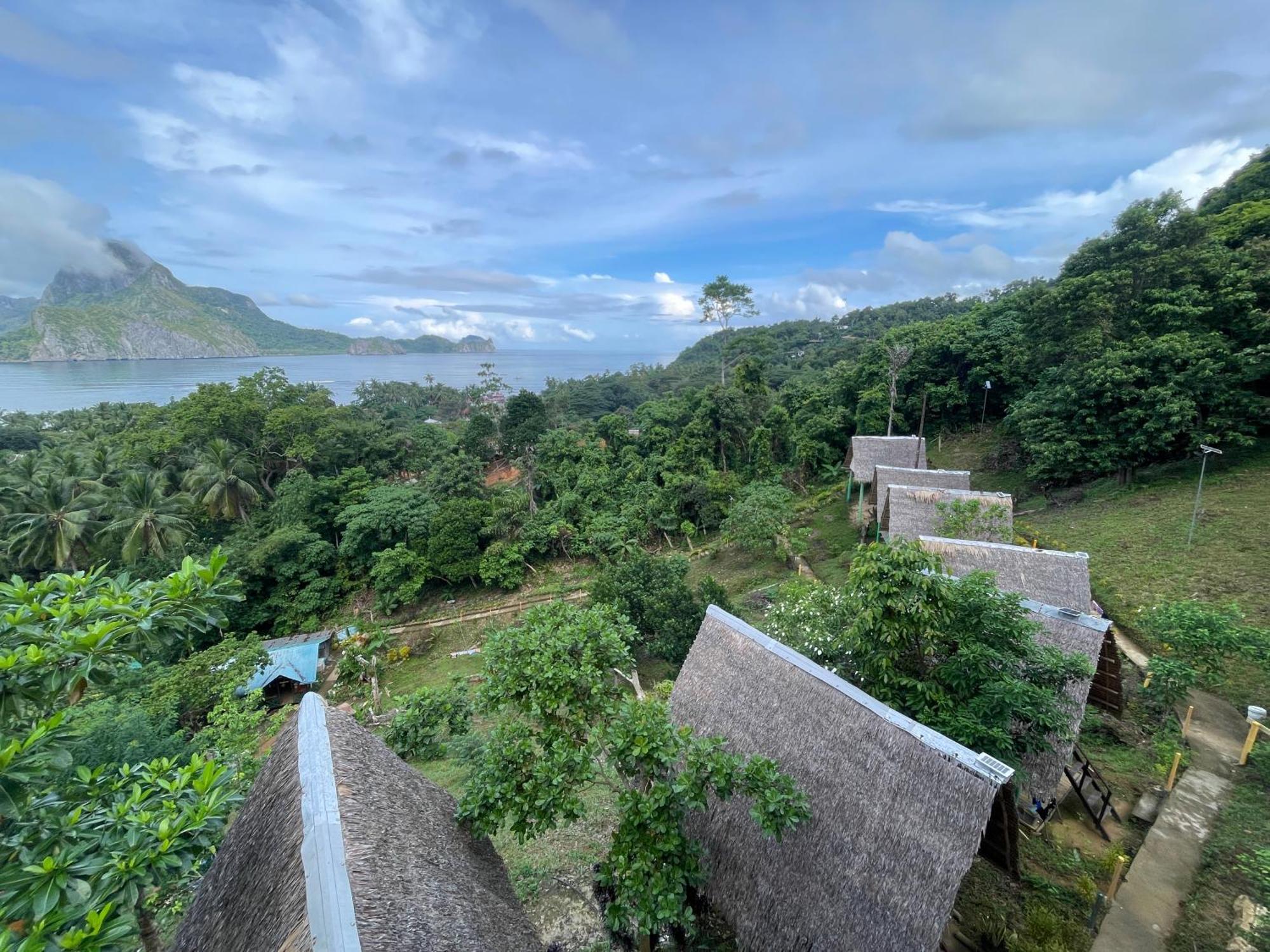 Campsite Forest Camp El Nido