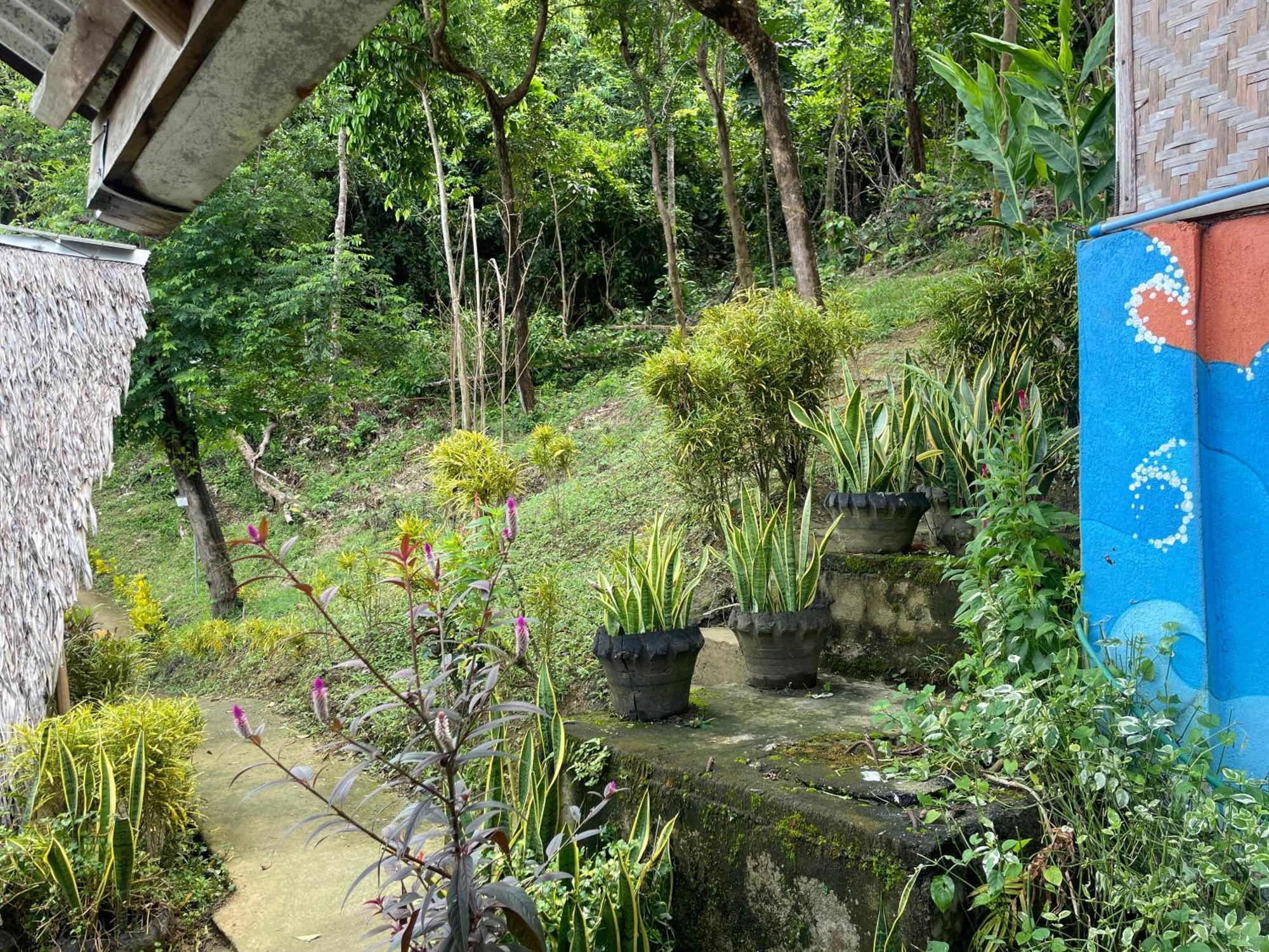 Forest Camp El Nido