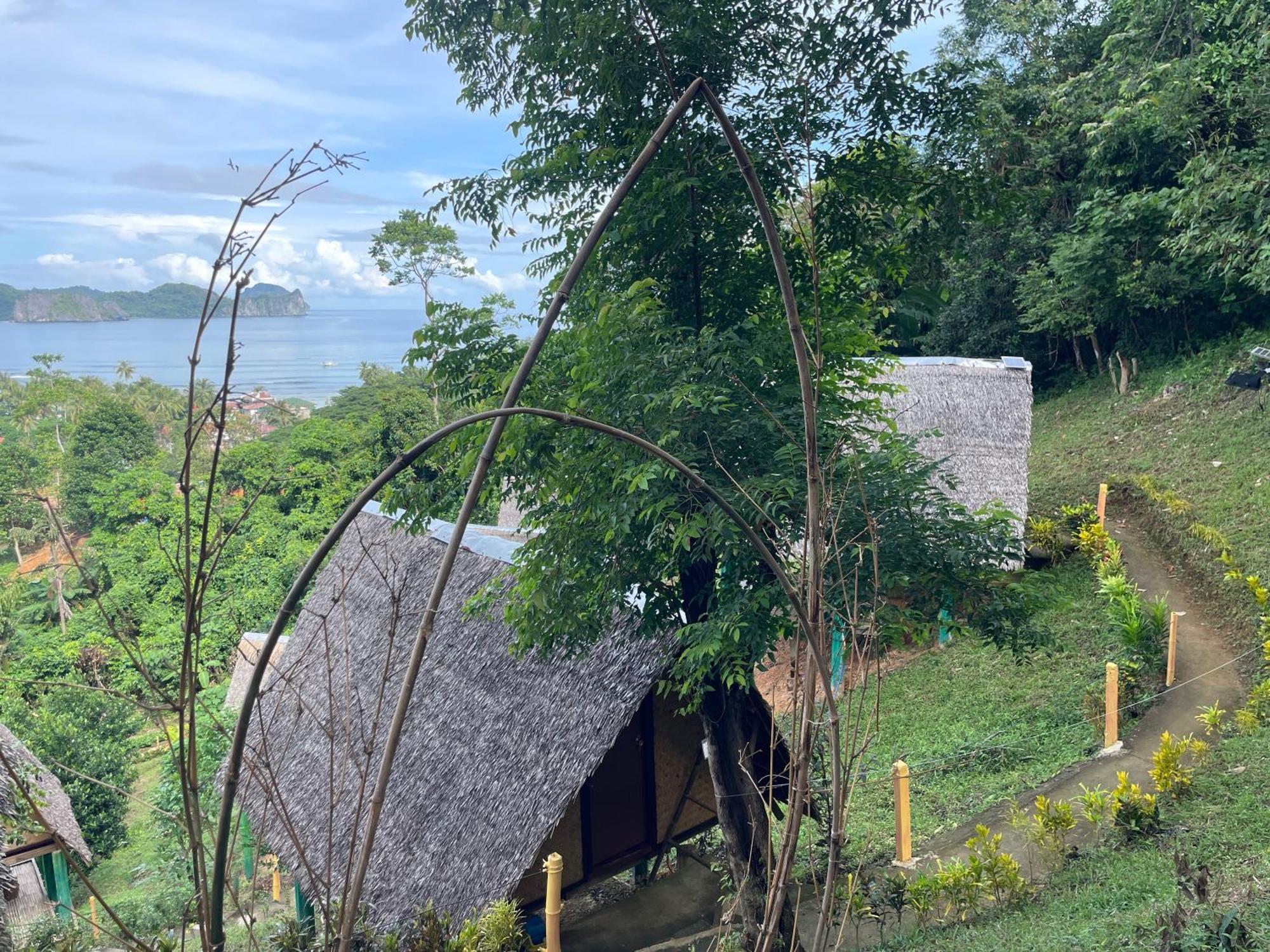Forest Camp Campsite *