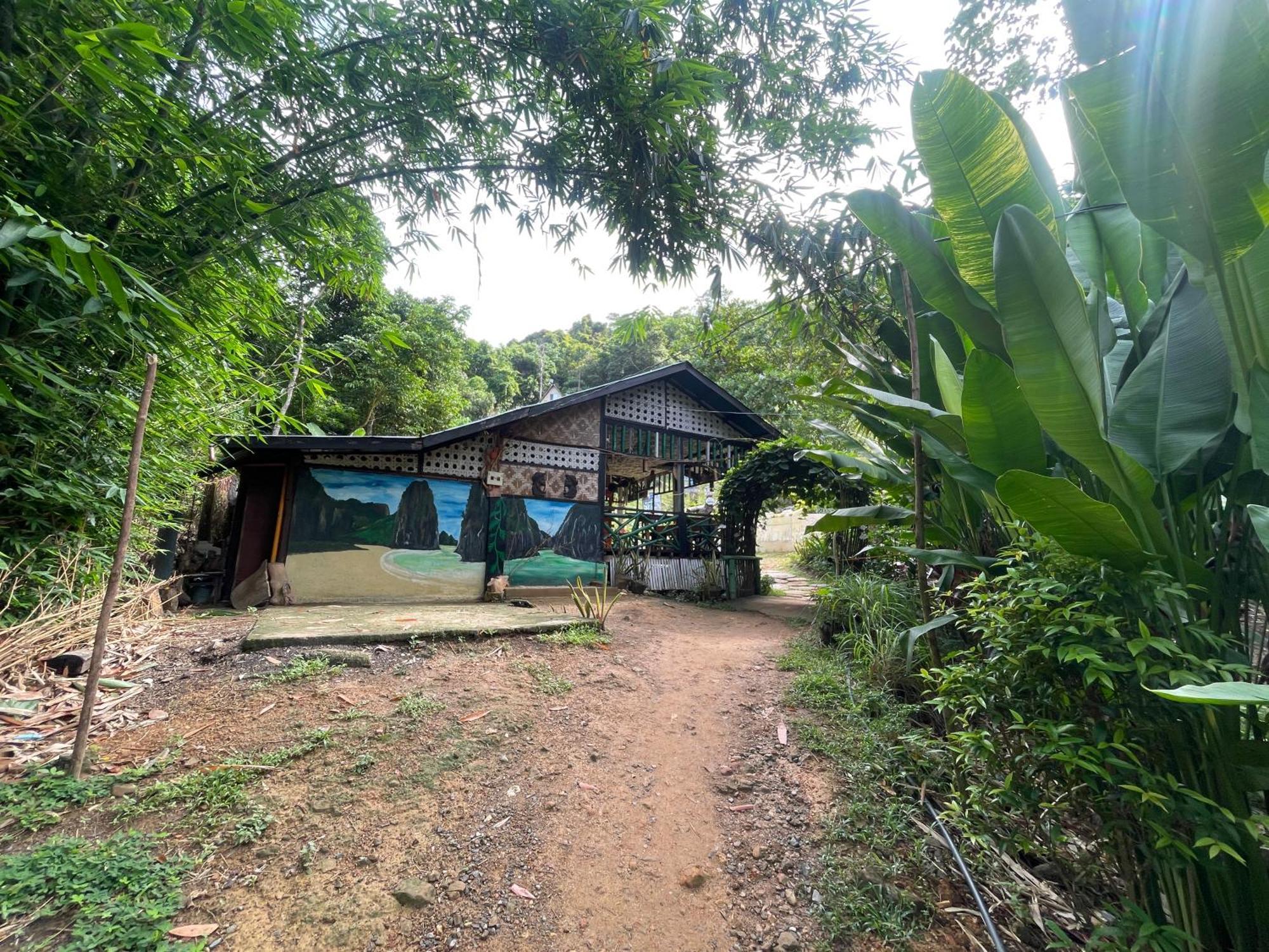 Forest Camp Campsite *