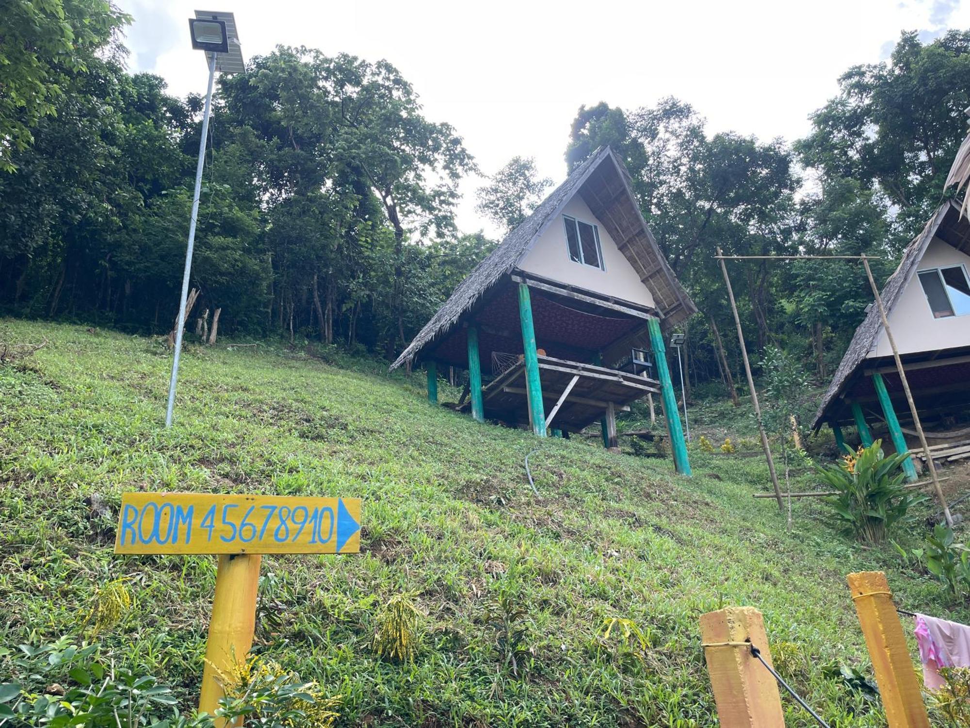 Forest Camp Campsite El Nido