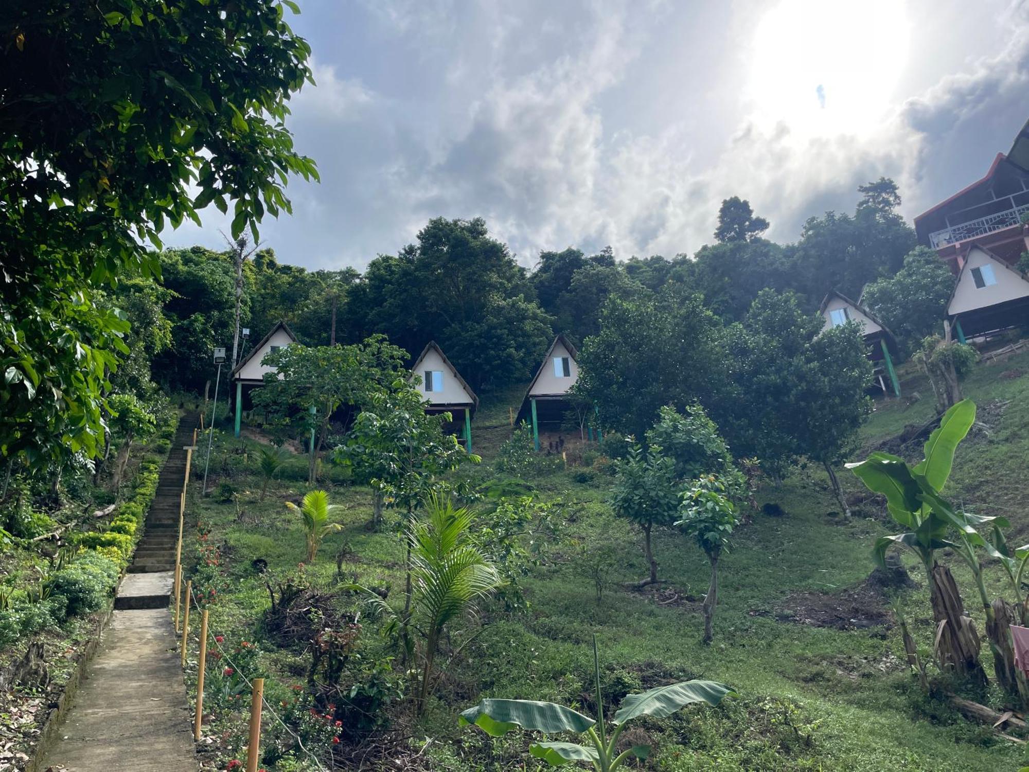 Campsite Forest Camp El Nido